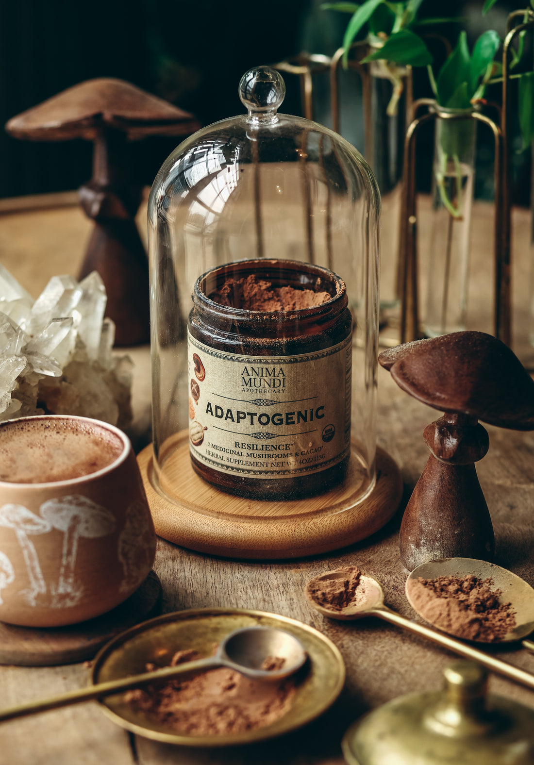 Anima Mundi Herbals