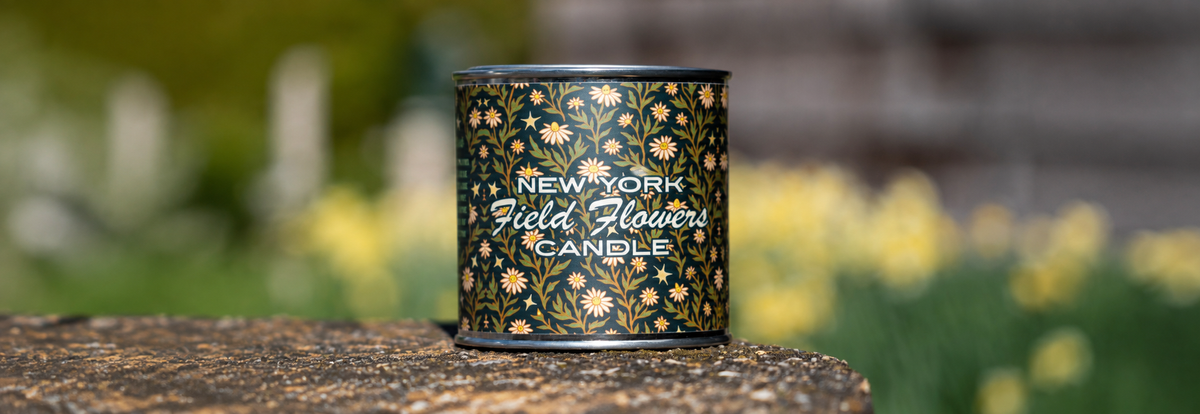 Upstate Stock Candles