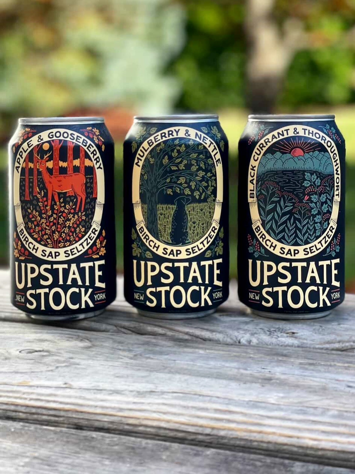Varierty Pack! Birch Sap Seltzer