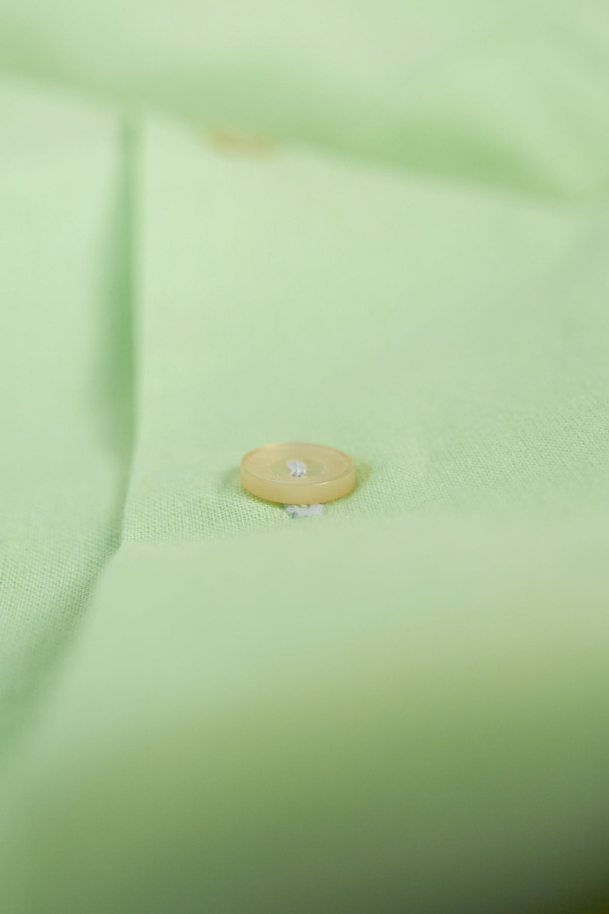 Organic Cotton Poplin Short Sleeve - MINT