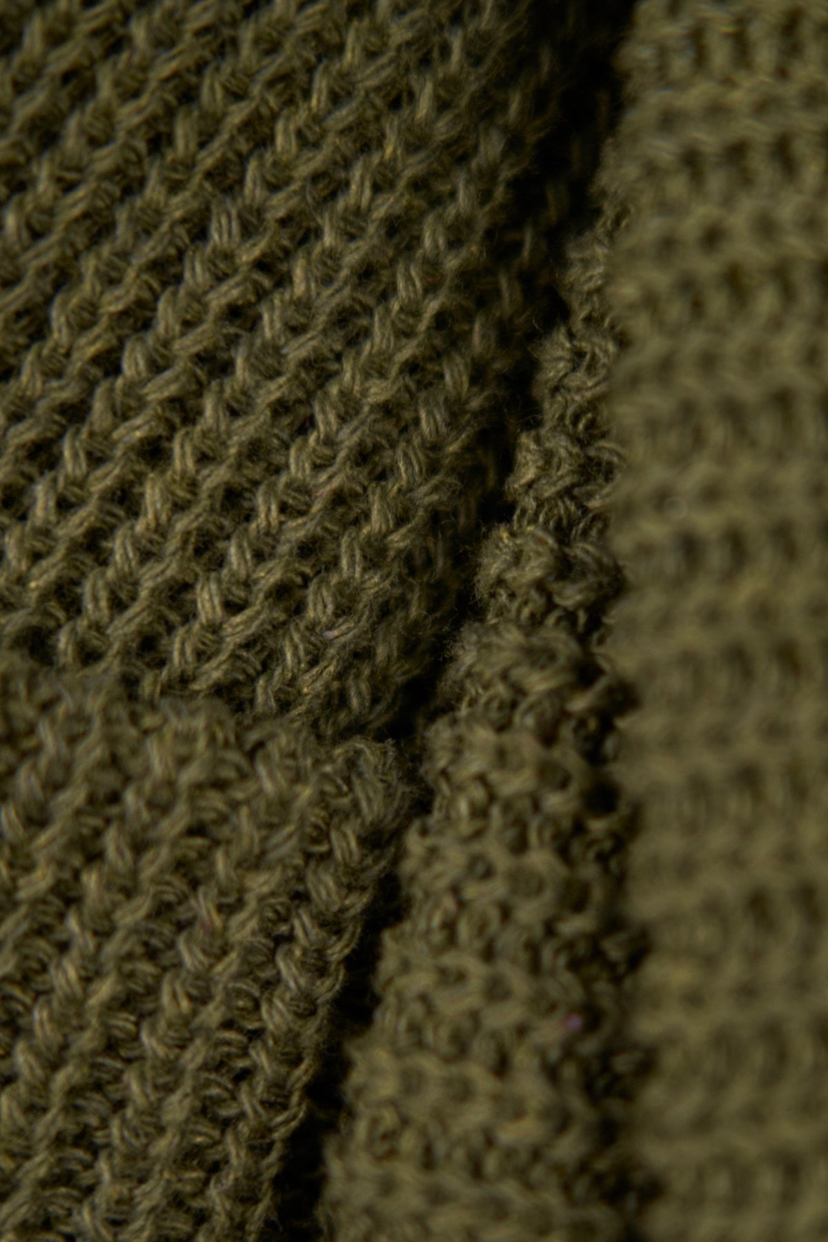 Thicket Green Upcycled Cotton Watchcap